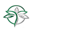 Dragonfly Health and Wellness logo